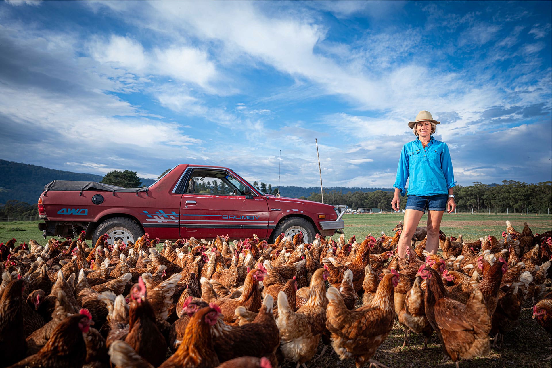 Chook Lady — Kristen McLennan