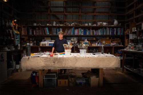 The Artist — Anne-France (A-F) Fulgence