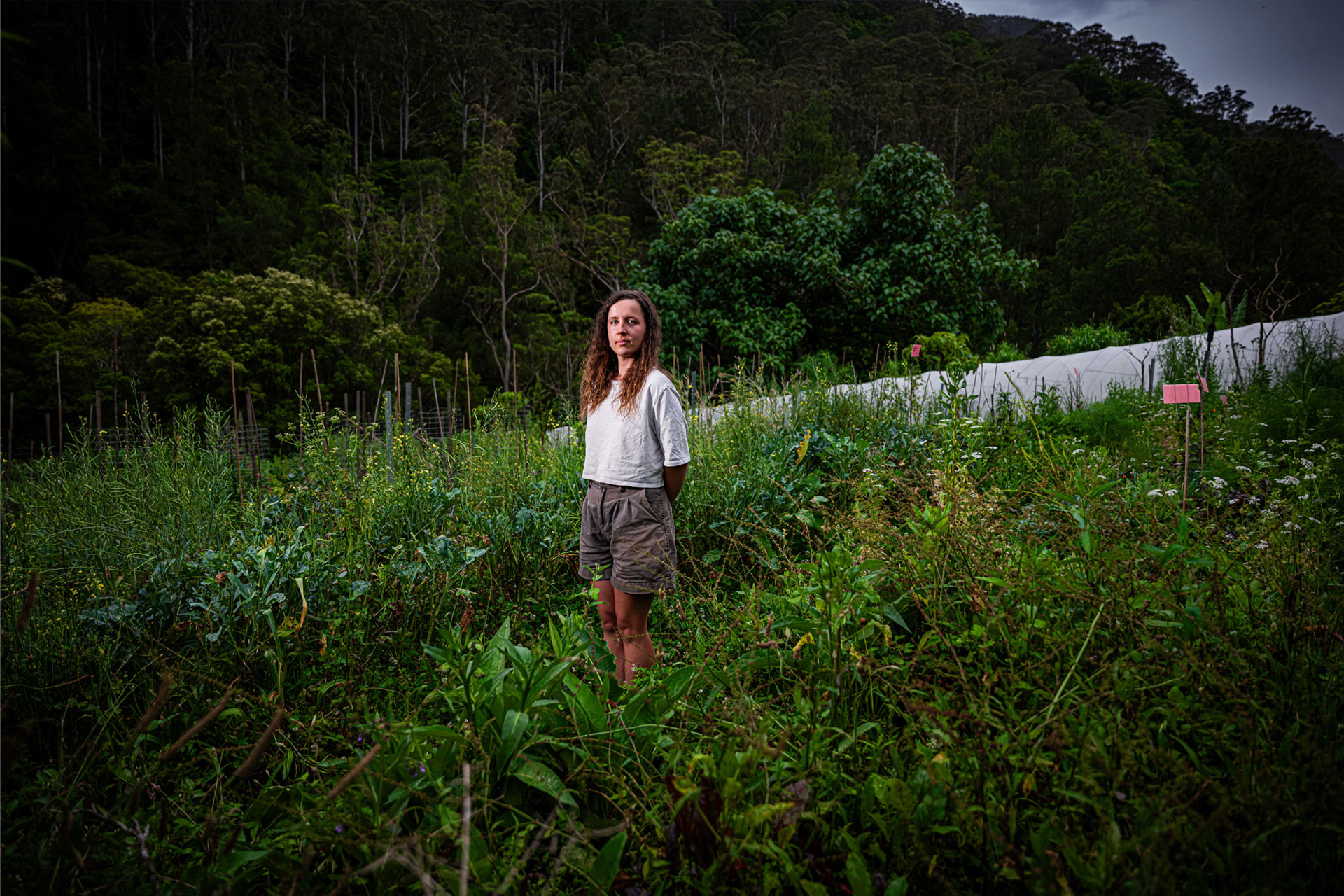 A Green Ruby — Ruby De Smet